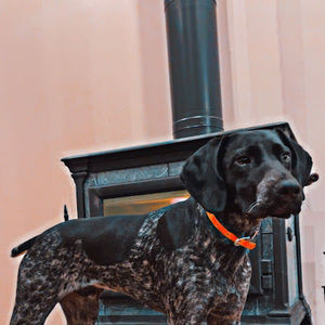 Meet your Posher, Branch